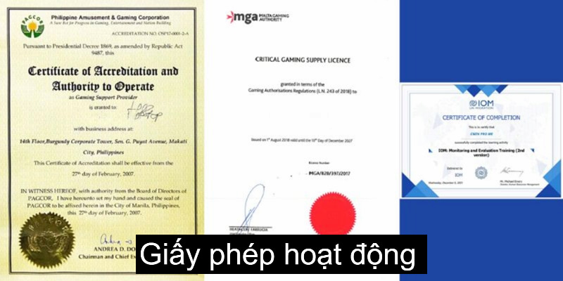 Các loại giấy phép hoạt động cần thiết